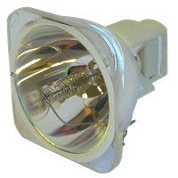 ACER PH730P Lampe ohne Modul