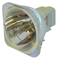 AVIO IP-01B Lampe ohne Modul