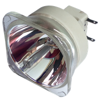 BENQ SU964 (Lamp 2) Lampe ohne Modul