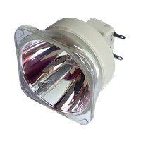 BENQ TP4940 (Lamp 1) Lampe ohne Modul