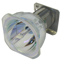 EIKI AH-15001 Lampe ohne Modul