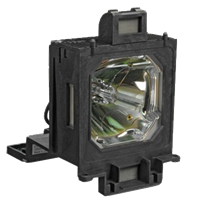 EIKI LC-XGC500 Lampe mit Modul