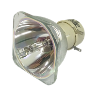 NEC M363W Lampe ohne Modul