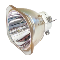 NEC PA803U Lampe ohne Modul