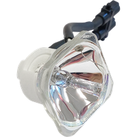 NEC VT45L Lampe ohne Modul