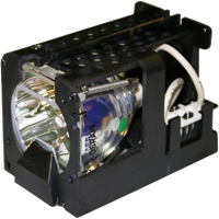 OPTOMA EP705H Lampe mit Modul