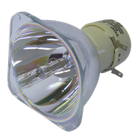 OPTOMA HD30B Lampe ohne Modul