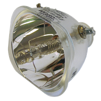 OPTOMA BL-FP120C (SP.86801.001) Lampe ohne Modul
